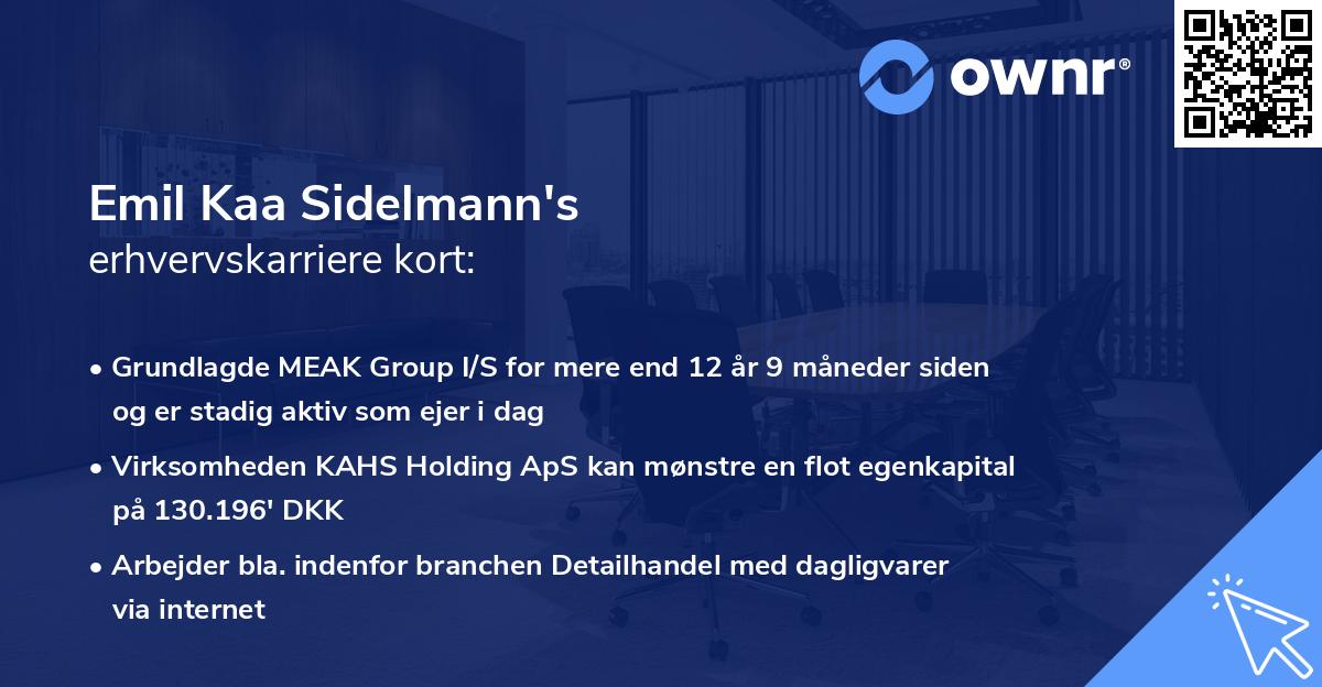 Emil Kaa Sidelmann's erhvervskarriere kort