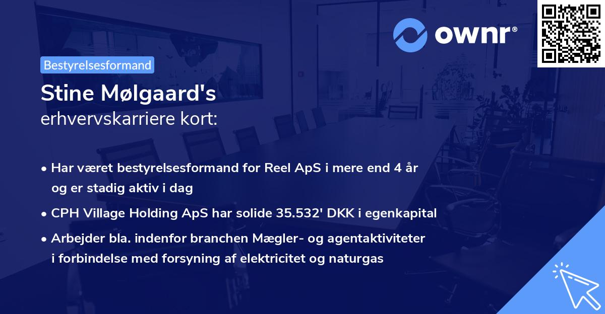 Stine Mølgaard's erhvervskarriere kort
