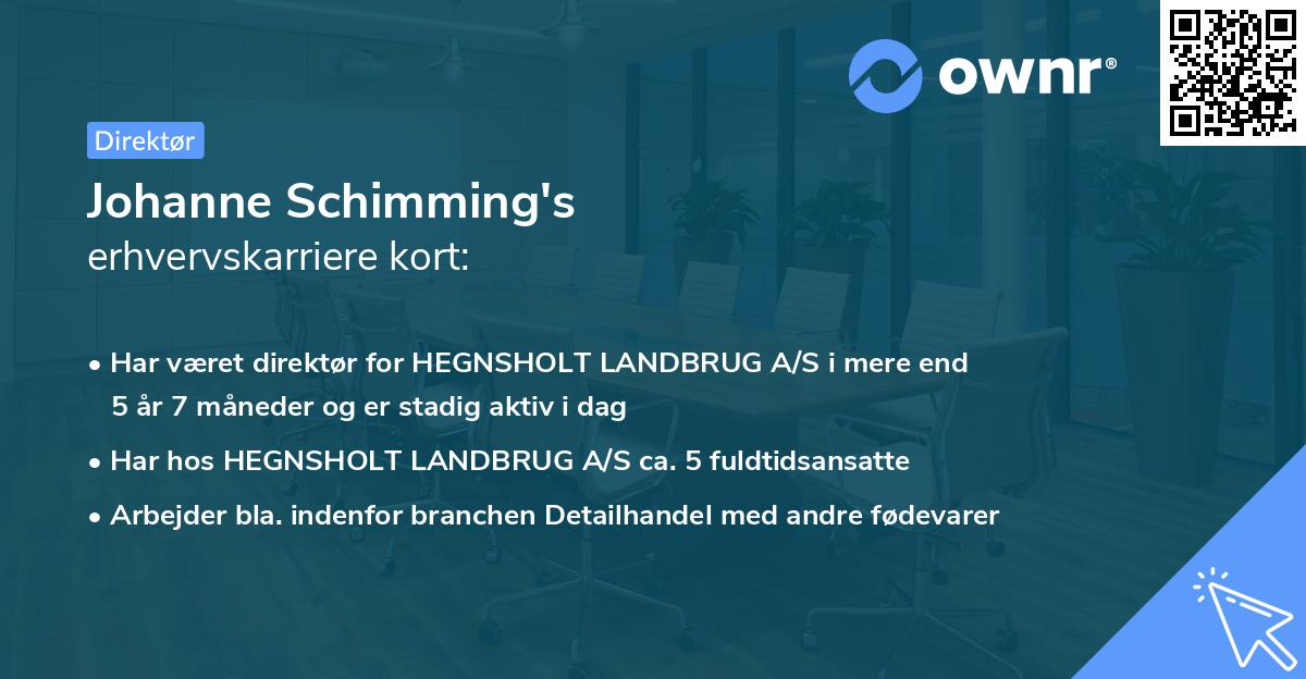 Johanne Schimming's erhvervskarriere kort