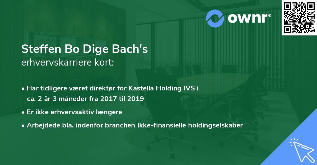 Steffen Bo Dige Bach's erhvervskarriere kort
