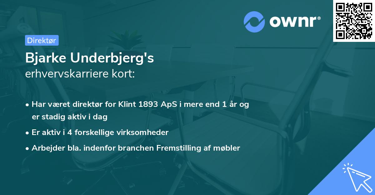Bjarke Underbjerg's erhvervskarriere kort