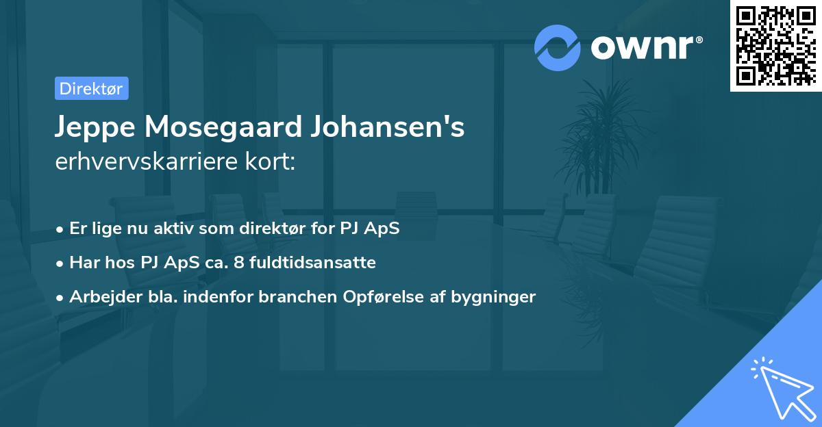 Jeppe Mosegaard Johansen's erhvervskarriere kort