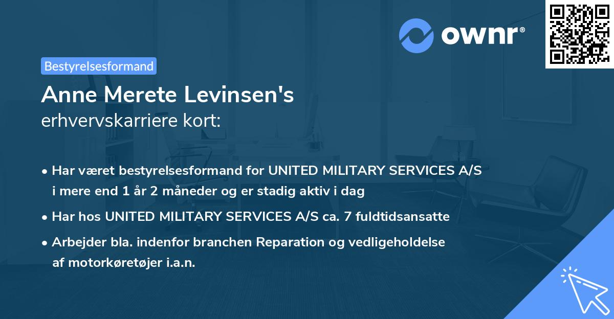 Anne Merete Levinsen's erhvervskarriere kort