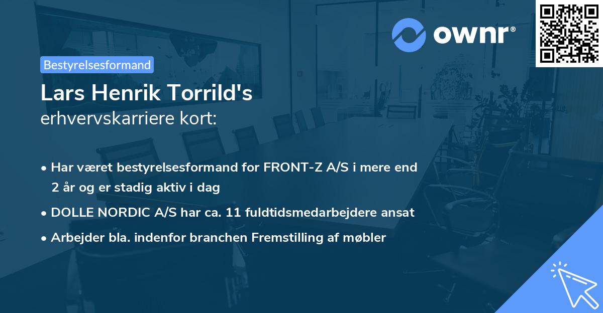 Lars Henrik Torrild's erhvervskarriere kort