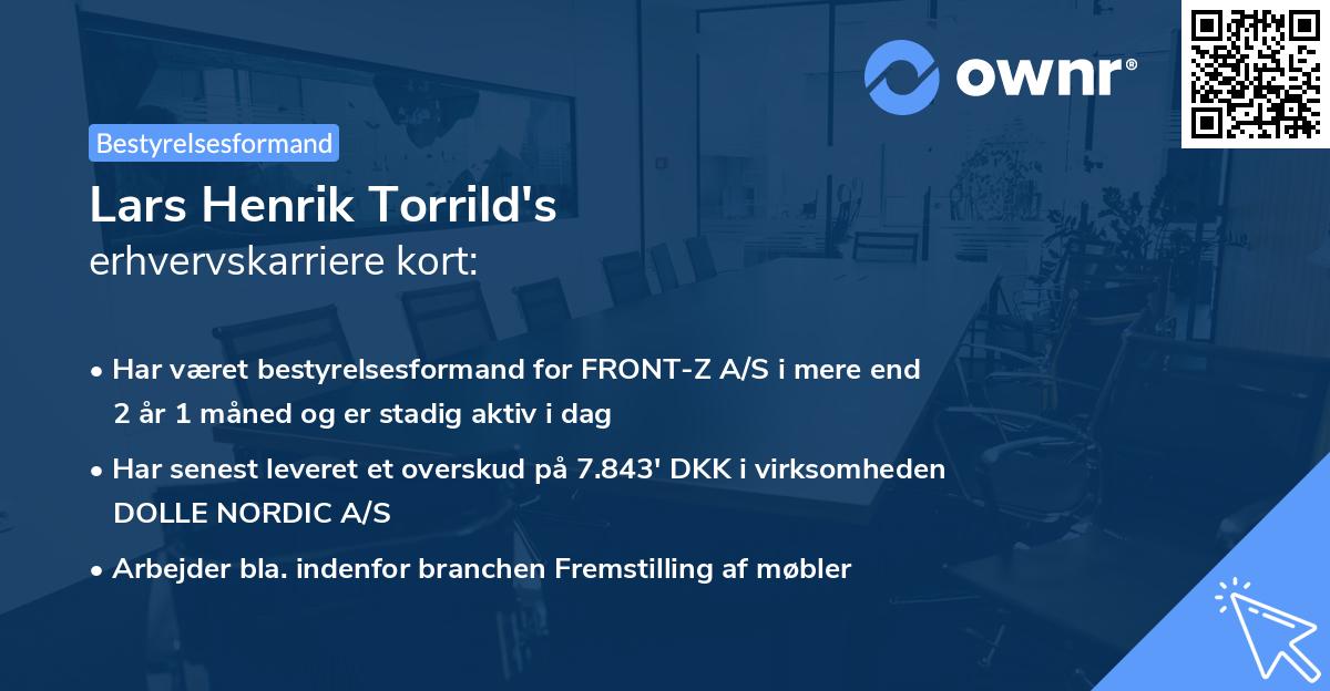 Lars Henrik Torrild's erhvervskarriere kort