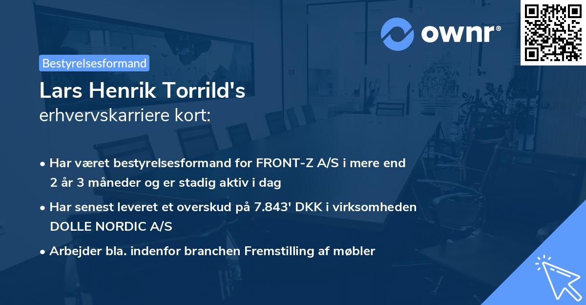 Lars Henrik Torrild's erhvervskarriere kort