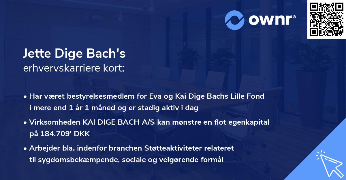 Jette Dige Bach's erhvervskarriere kort