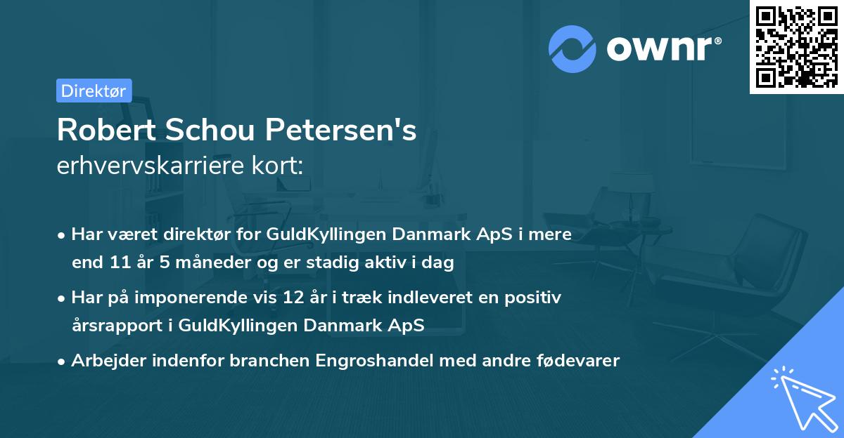 Robert Schou Petersen's erhvervskarriere kort