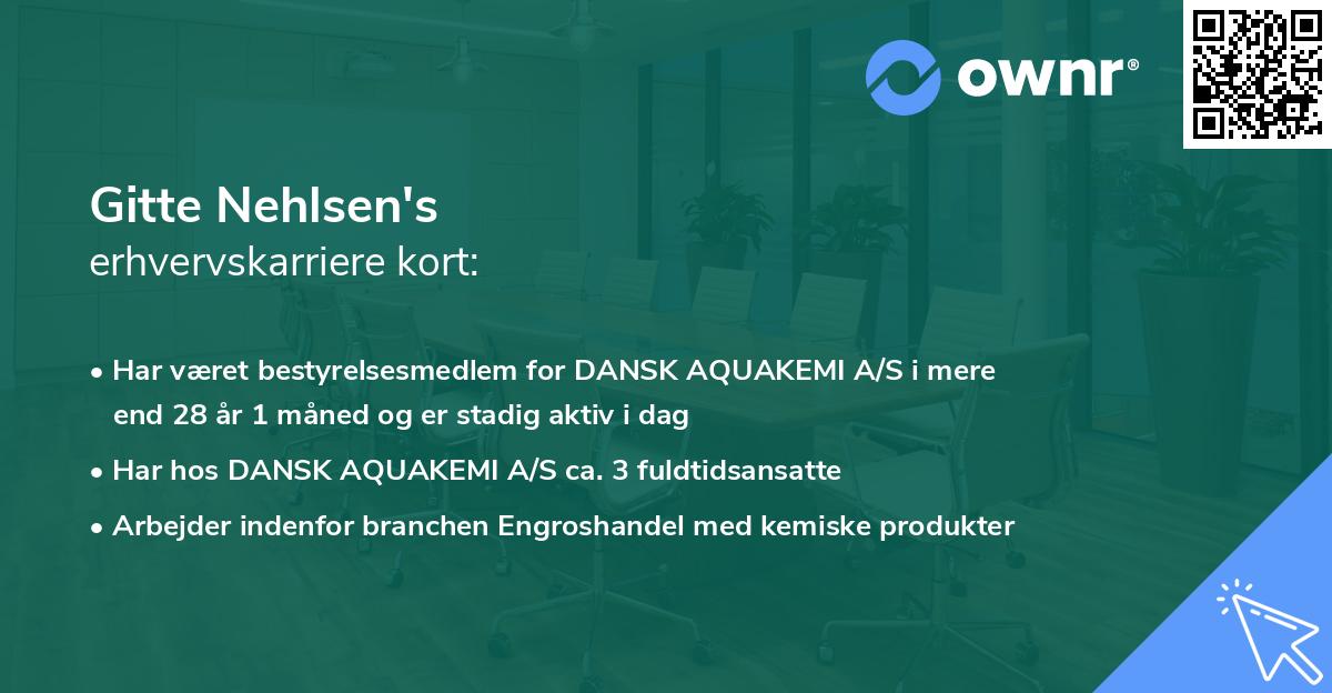Gitte Nehlsen's erhvervskarriere kort
