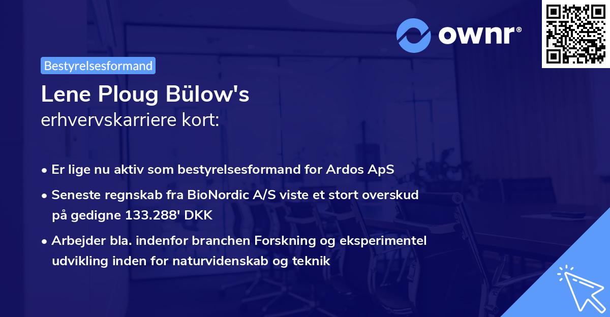 Lene Ploug Bülow's erhvervskarriere kort