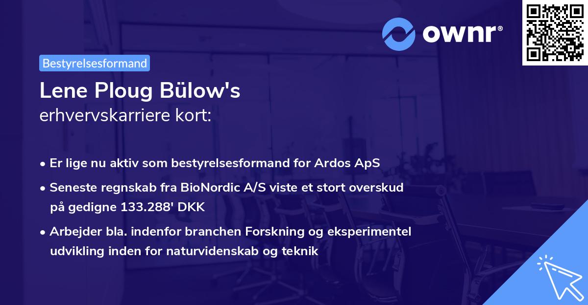 Lene Ploug Bülow's erhvervskarriere kort