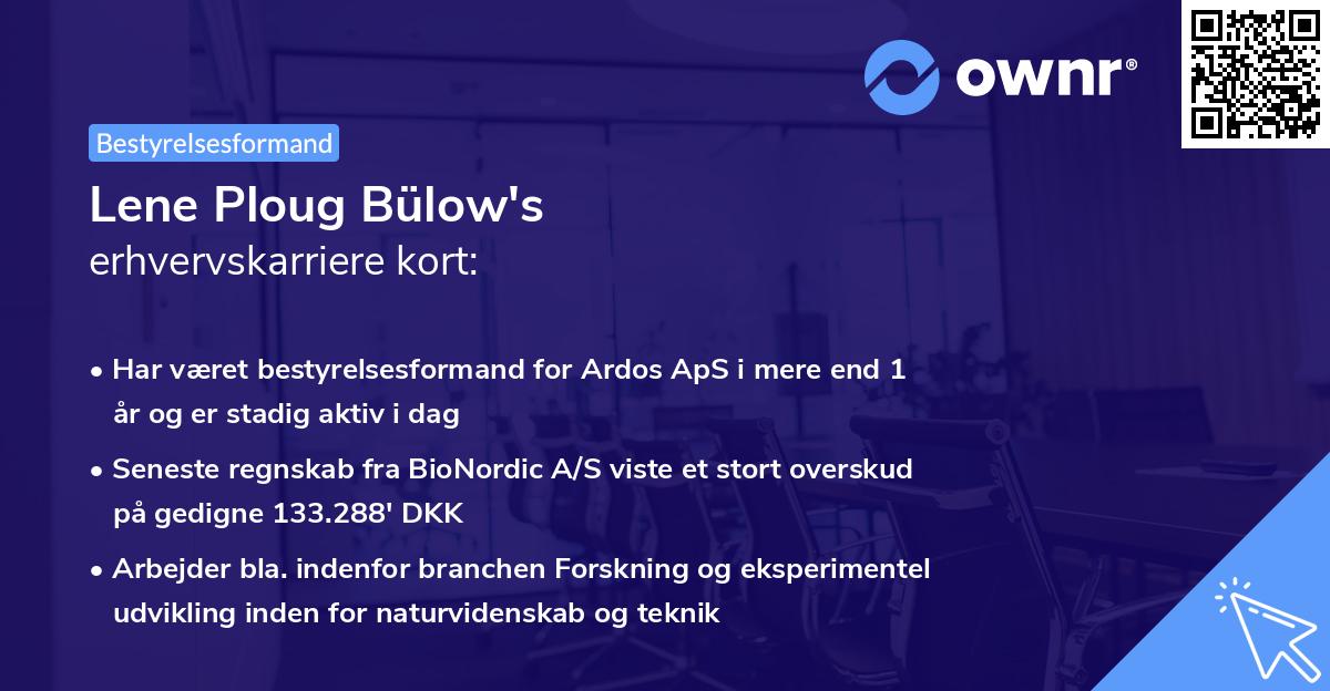 Lene Ploug Bülow's erhvervskarriere kort