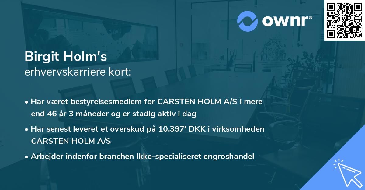 Birgit Holm's erhvervskarriere kort