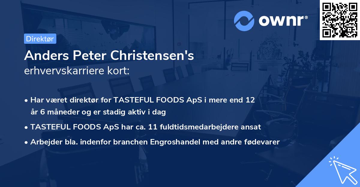 Anders Peter Christensen's erhvervskarriere kort