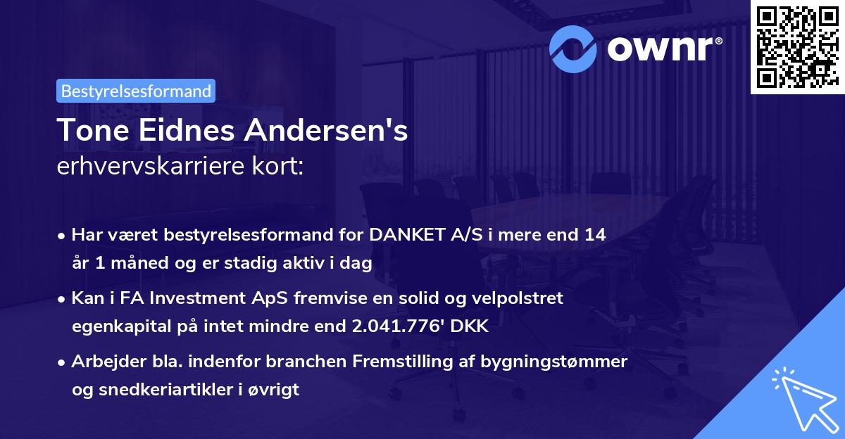 Tone Eidnes Andersen's erhvervskarriere kort