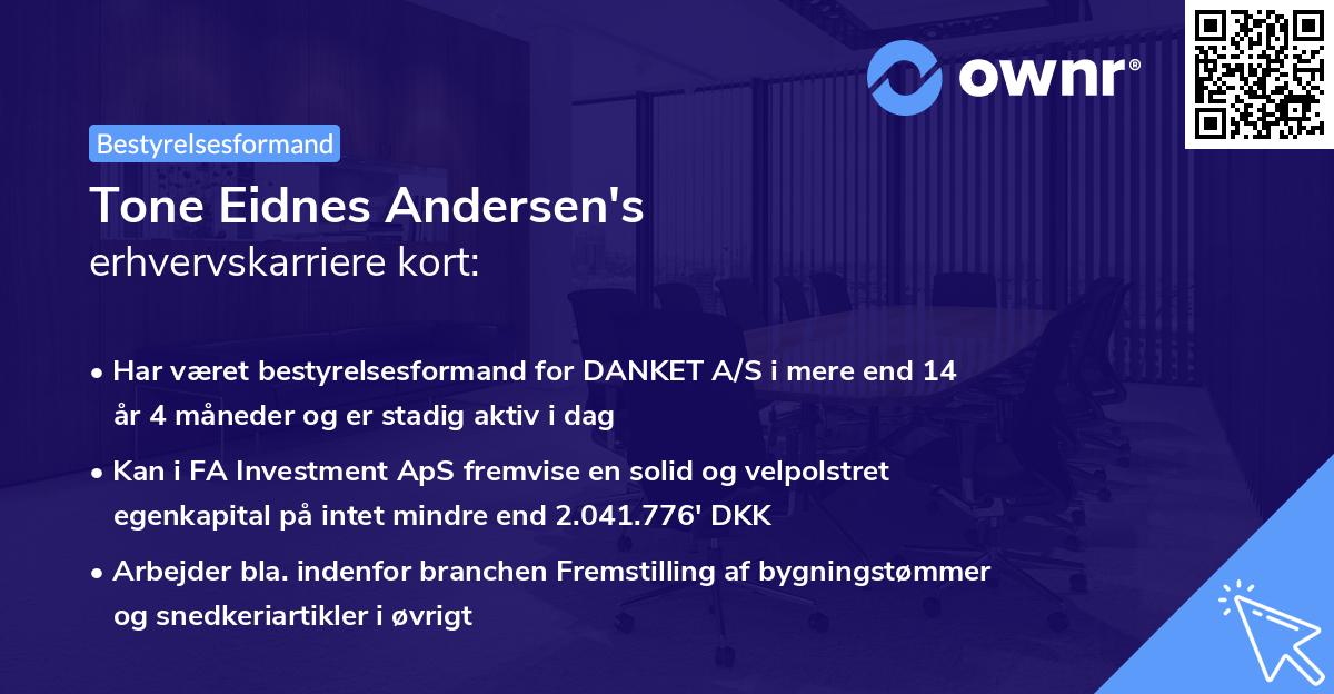 Tone Eidnes Andersen's erhvervskarriere kort