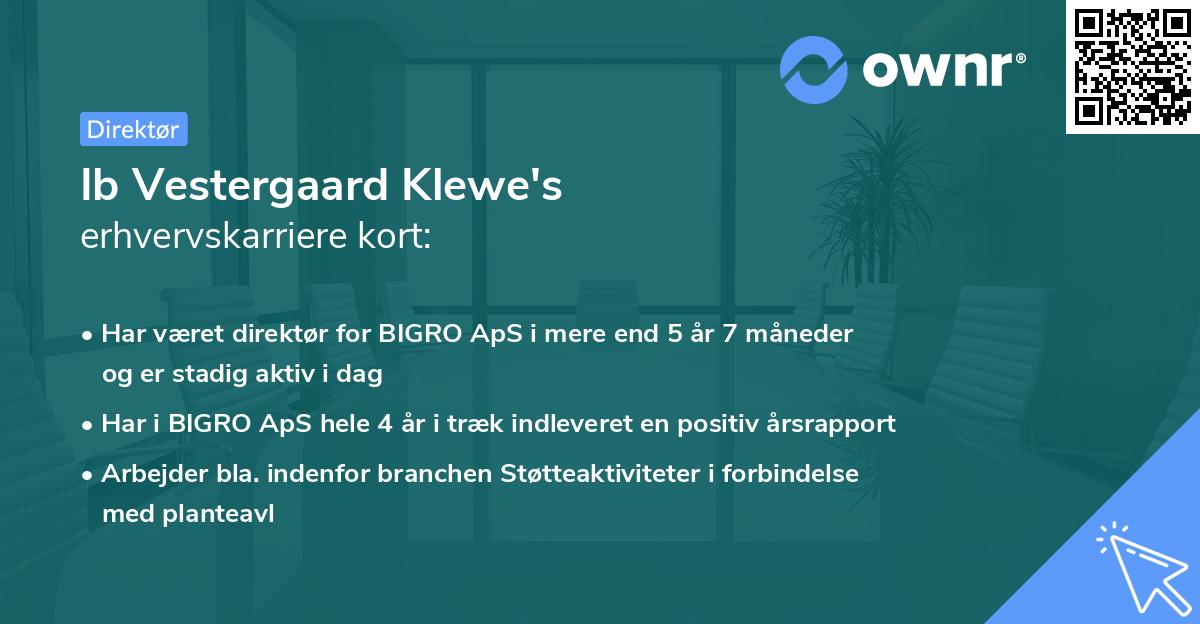 Ib Vestergaard Klewe's erhvervskarriere kort