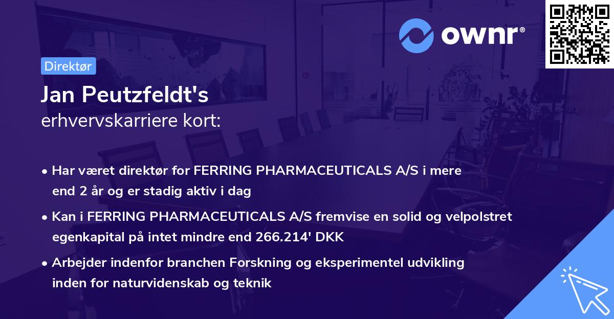 Jan Peutzfeldt's erhvervskarriere kort
