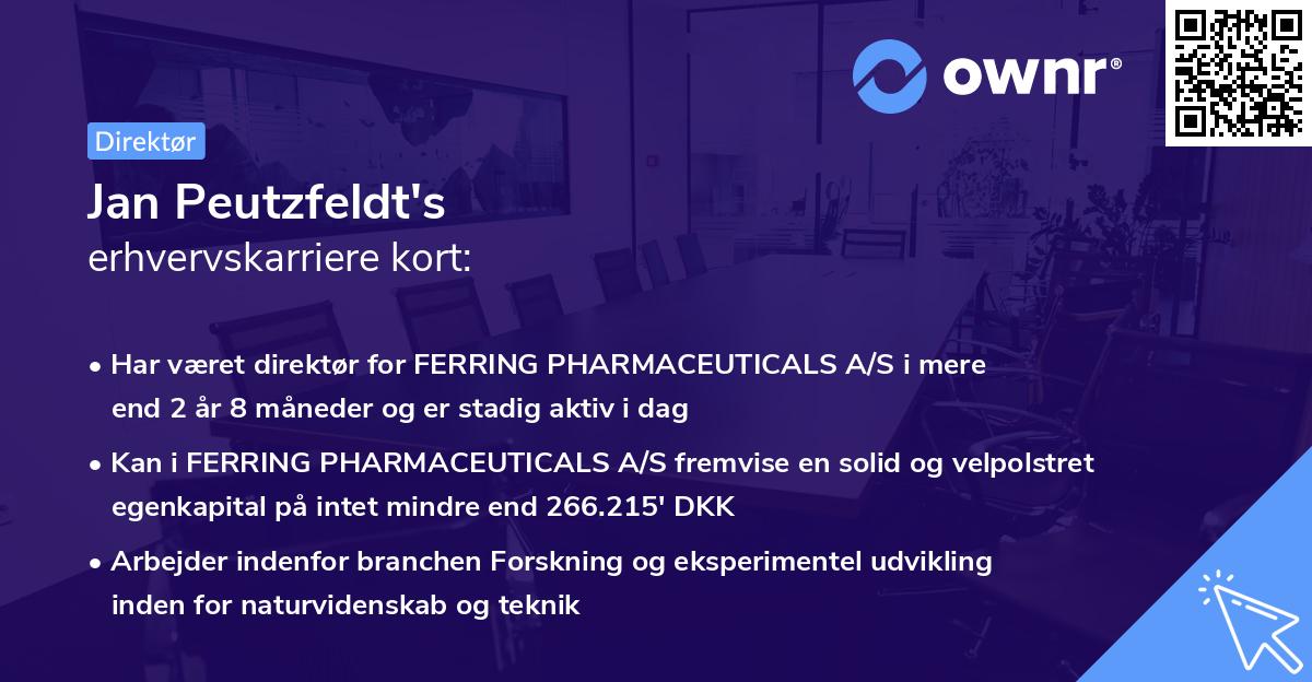 Jan Peutzfeldt's erhvervskarriere kort