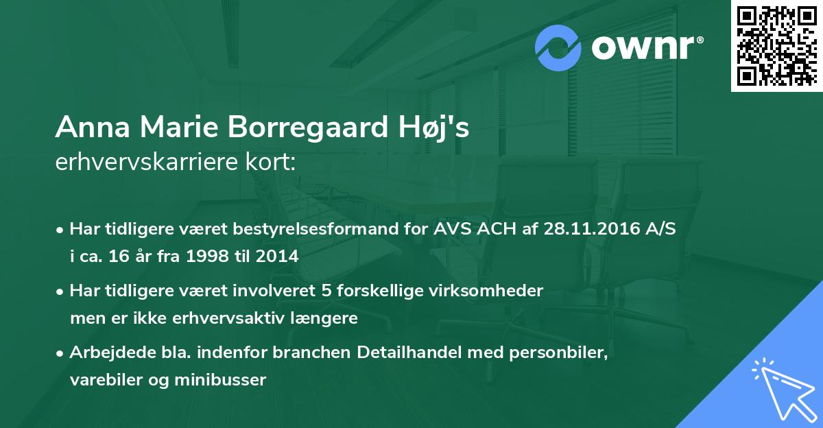 Anna Marie Borregaard Høj's erhvervskarriere kort