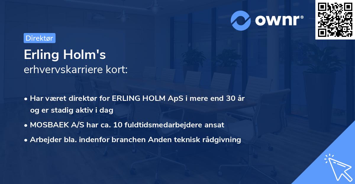 Erling Holm's erhvervskarriere kort