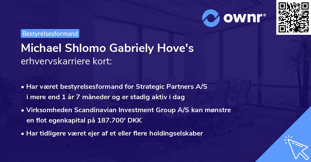 Michael Shlomo Gabriely Hove's erhvervskarriere kort