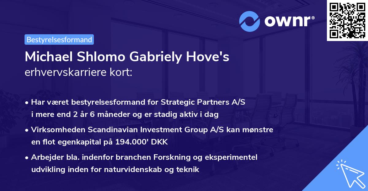 Michael Shlomo Gabriely Hove's erhvervskarriere kort