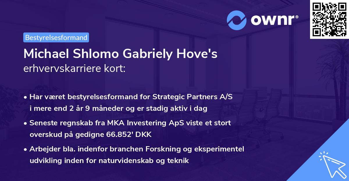 Michael Shlomo Gabriely Hove's erhvervskarriere kort