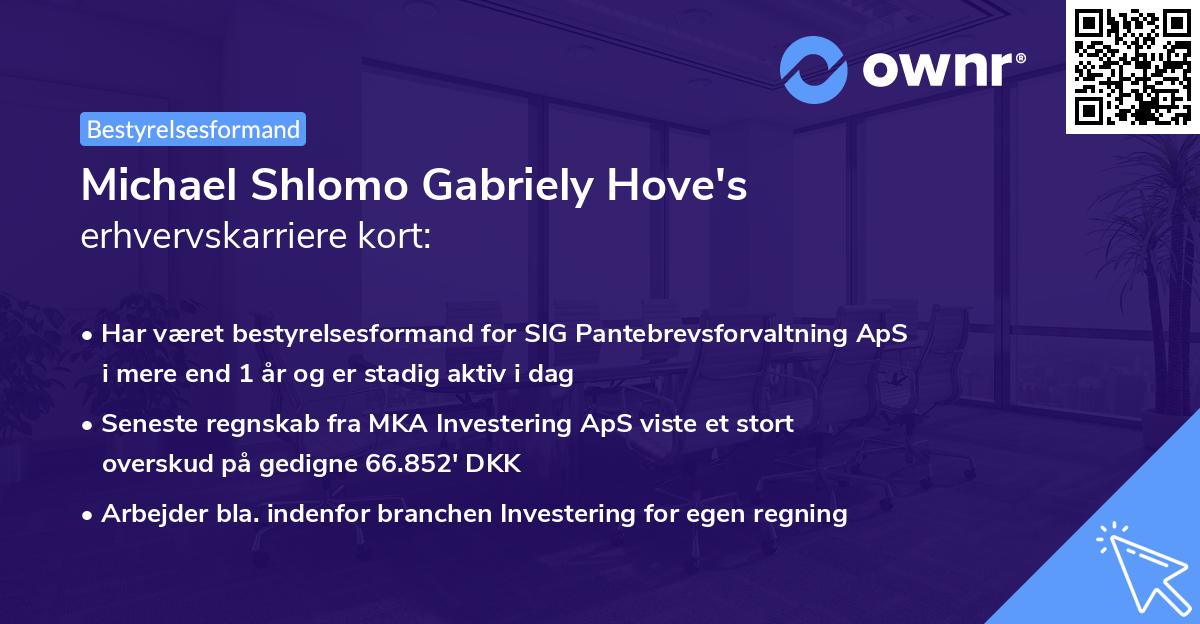 Michael Shlomo Gabriely Hove's erhvervskarriere kort