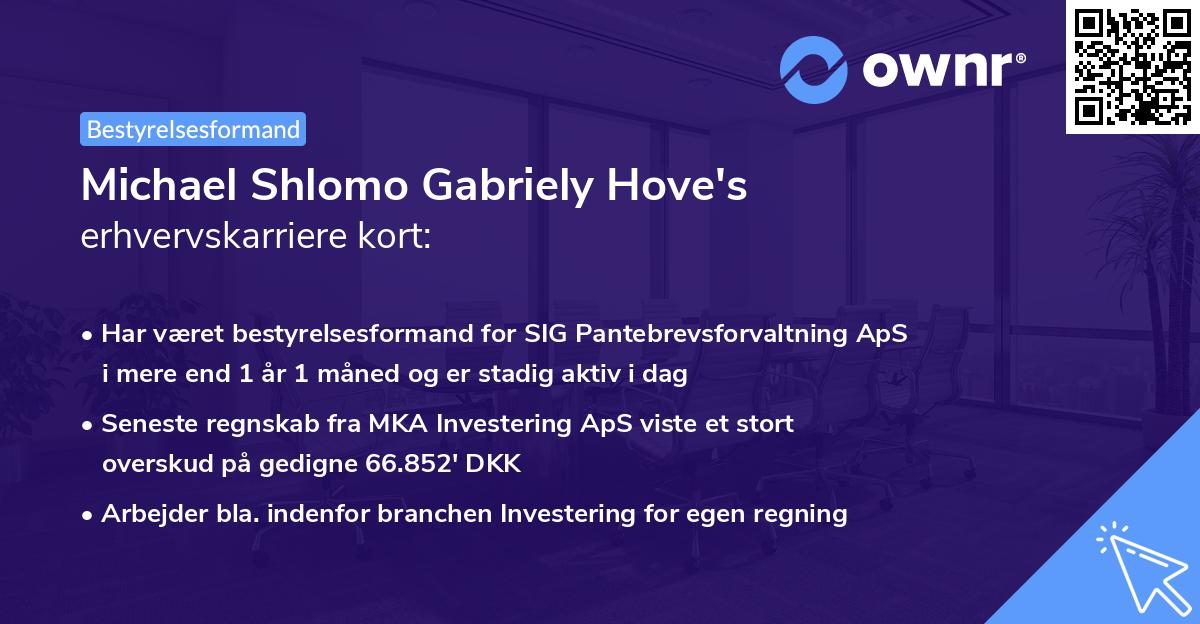Michael Shlomo Gabriely Hove's erhvervskarriere kort