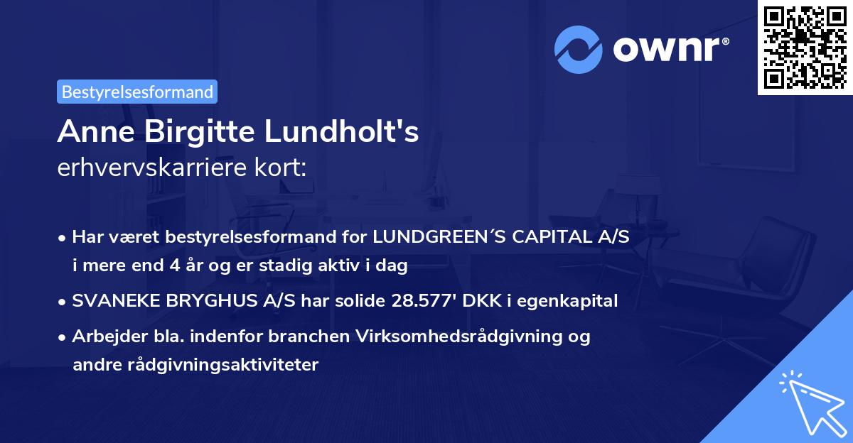 Anne Birgitte Lundholt's erhvervskarriere kort