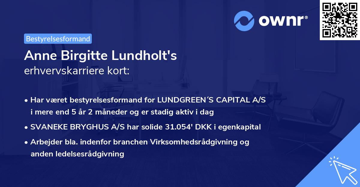 Anne Birgitte Lundholt's erhvervskarriere kort