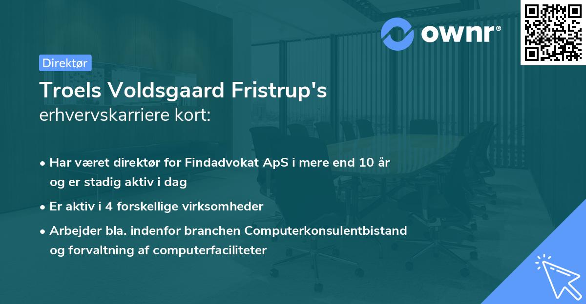 Troels Voldsgaard Fristrup's erhvervskarriere kort