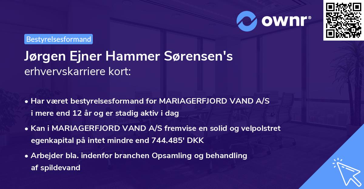 Jørgen Ejner Hammer Sørensen's erhvervskarriere kort