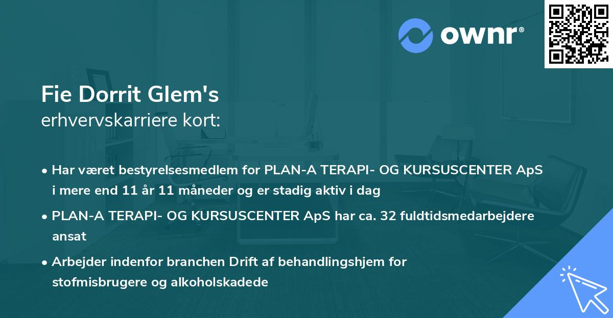 Fie Dorrit Glem's erhvervskarriere kort