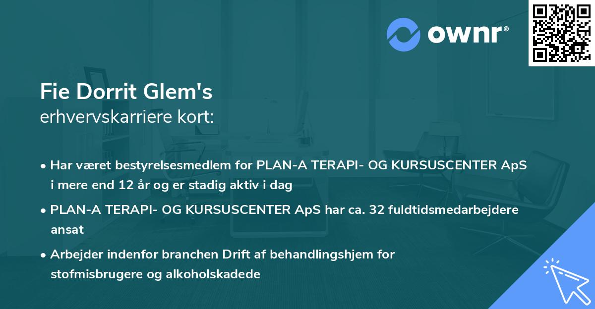 Fie Dorrit Glem's erhvervskarriere kort