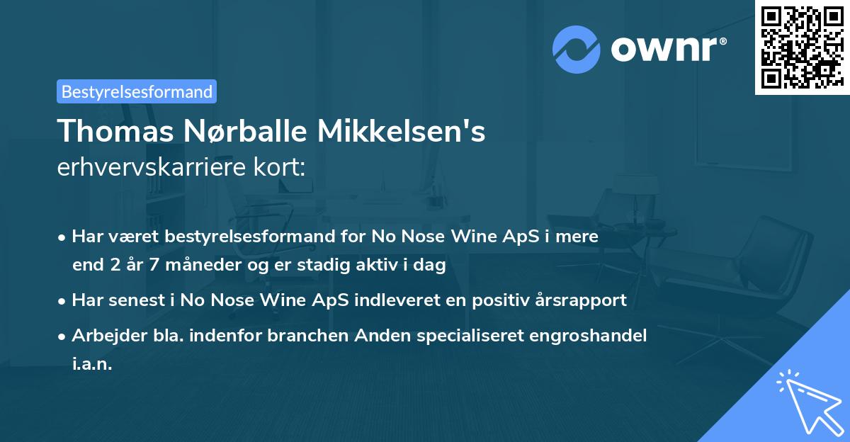Thomas Nørballe Mikkelsen's erhvervskarriere kort