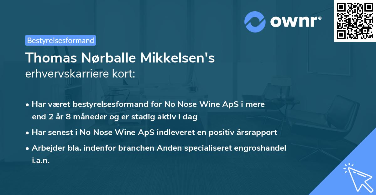 Thomas Nørballe Mikkelsen's erhvervskarriere kort