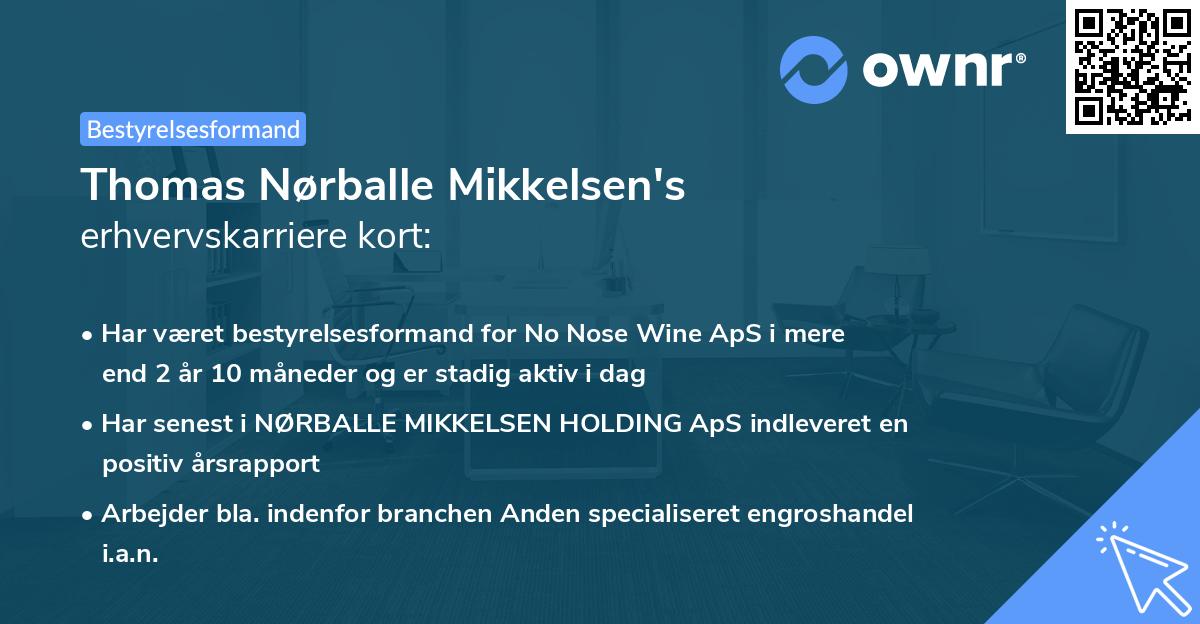 Thomas Nørballe Mikkelsen's erhvervskarriere kort
