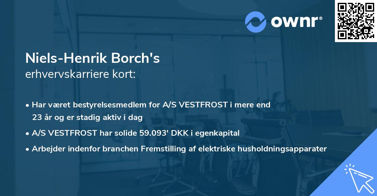 Niels-Henrik Borch's erhvervskarriere kort