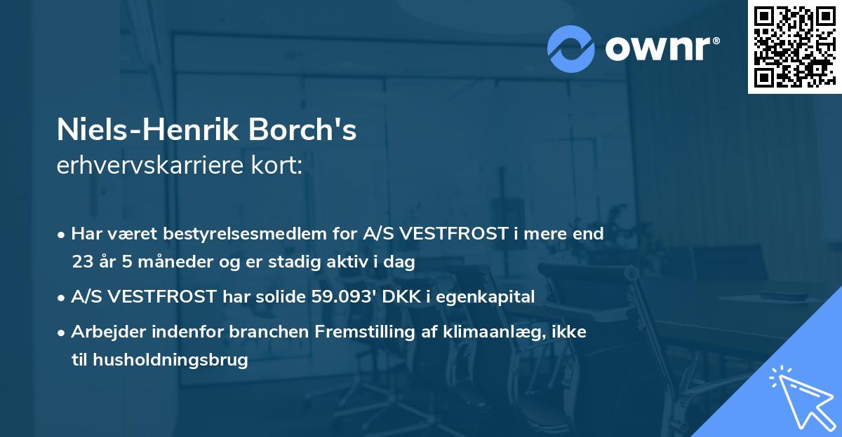 Niels-Henrik Borch's erhvervskarriere kort