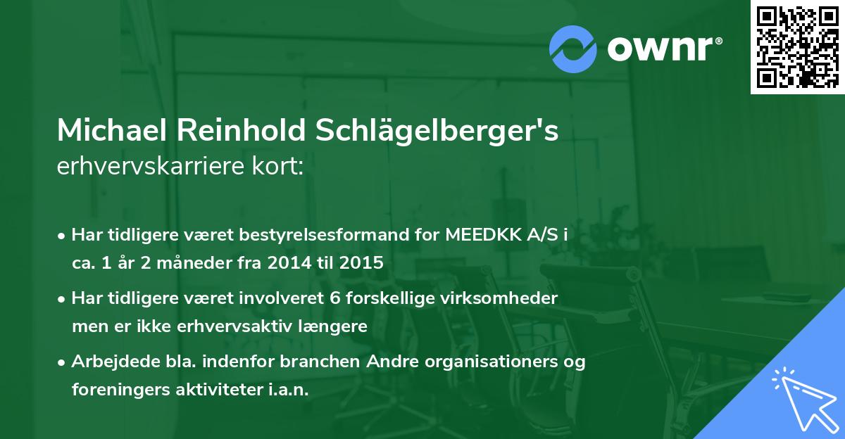 Michael Reinhold Schlägelberger's erhvervskarriere kort
