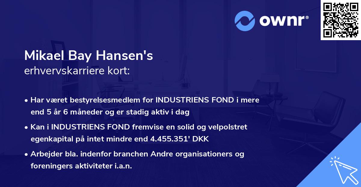 Mikael Bay Hansen's erhvervskarriere kort