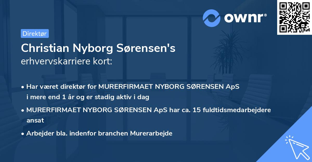 Christian Nyborg Sørensen's erhvervskarriere kort