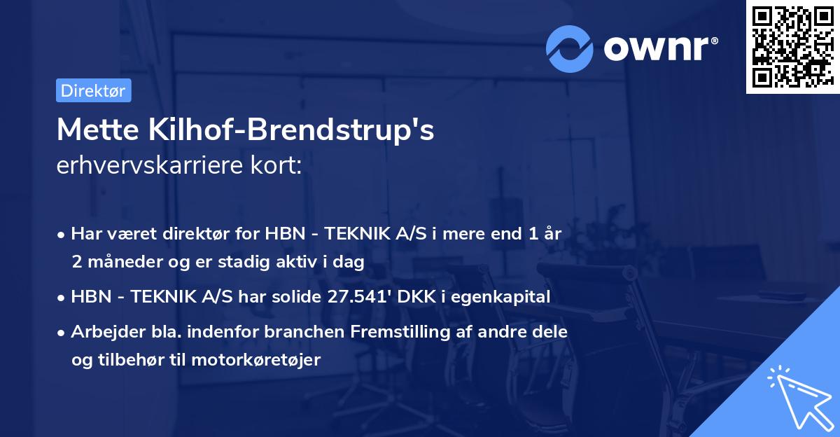 Mette Kilhof-Brendstrup's erhvervskarriere kort