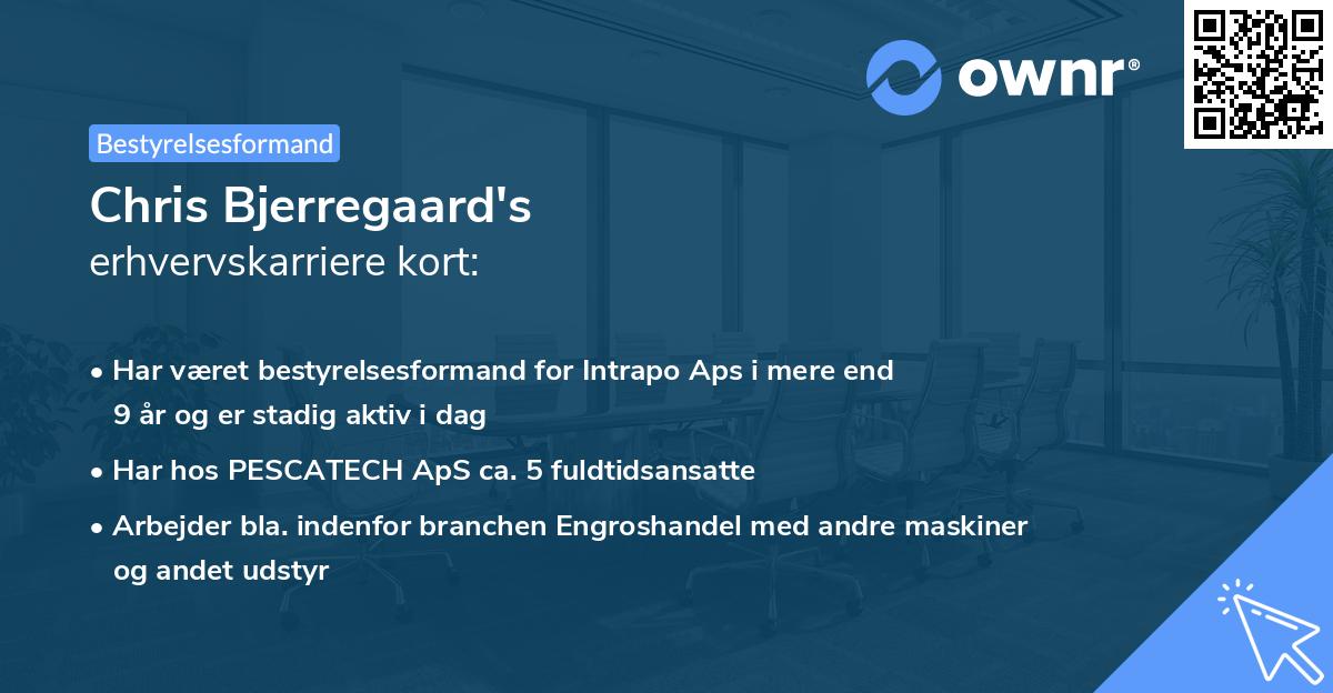 Chris Bjerregaard's erhvervskarriere kort