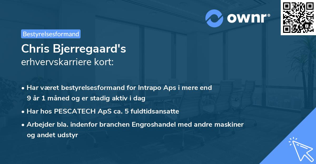 Chris Bjerregaard's erhvervskarriere kort