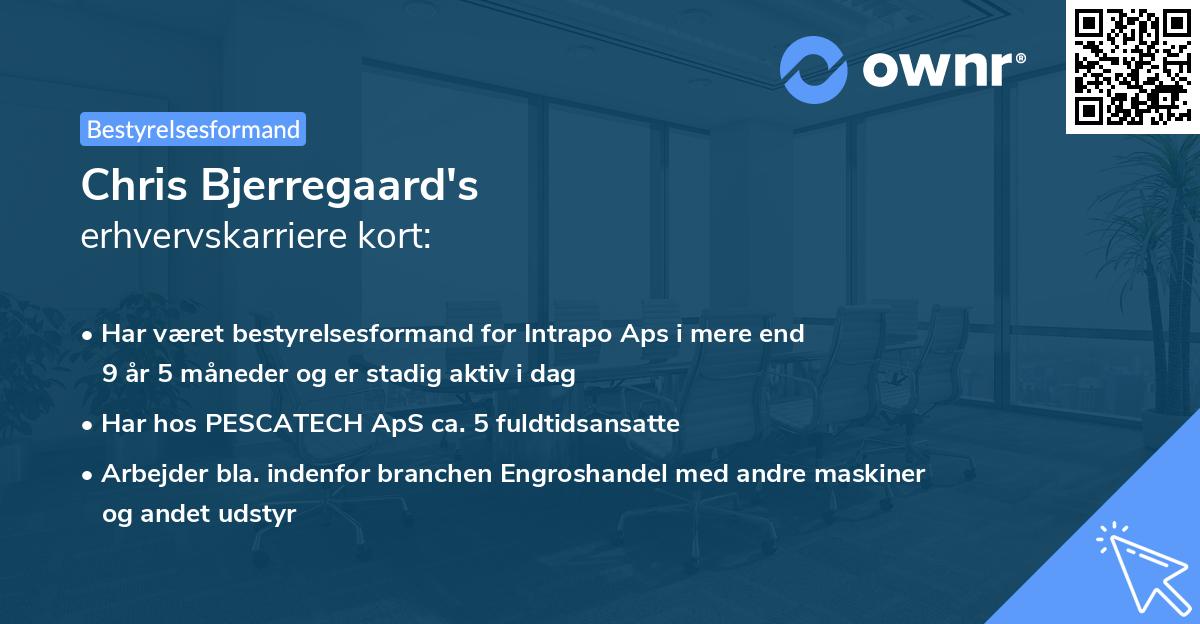 Chris Bjerregaard's erhvervskarriere kort