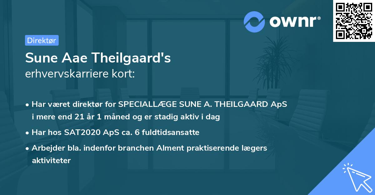 Sune Aae Theilgaard's erhvervskarriere kort