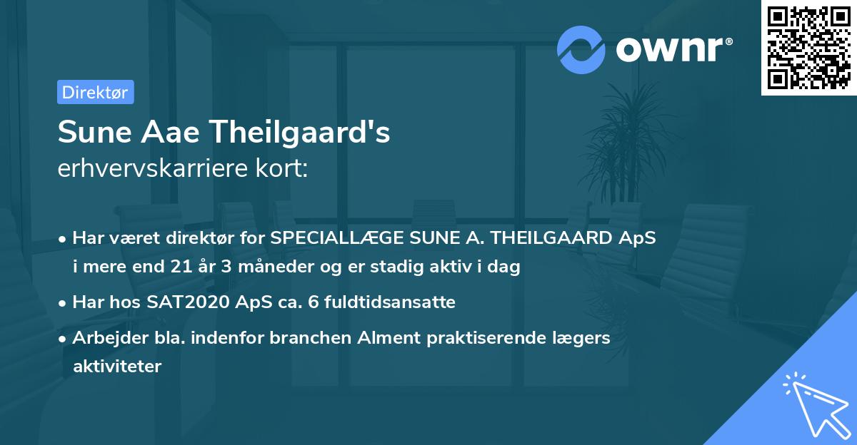 Sune Aae Theilgaard's erhvervskarriere kort